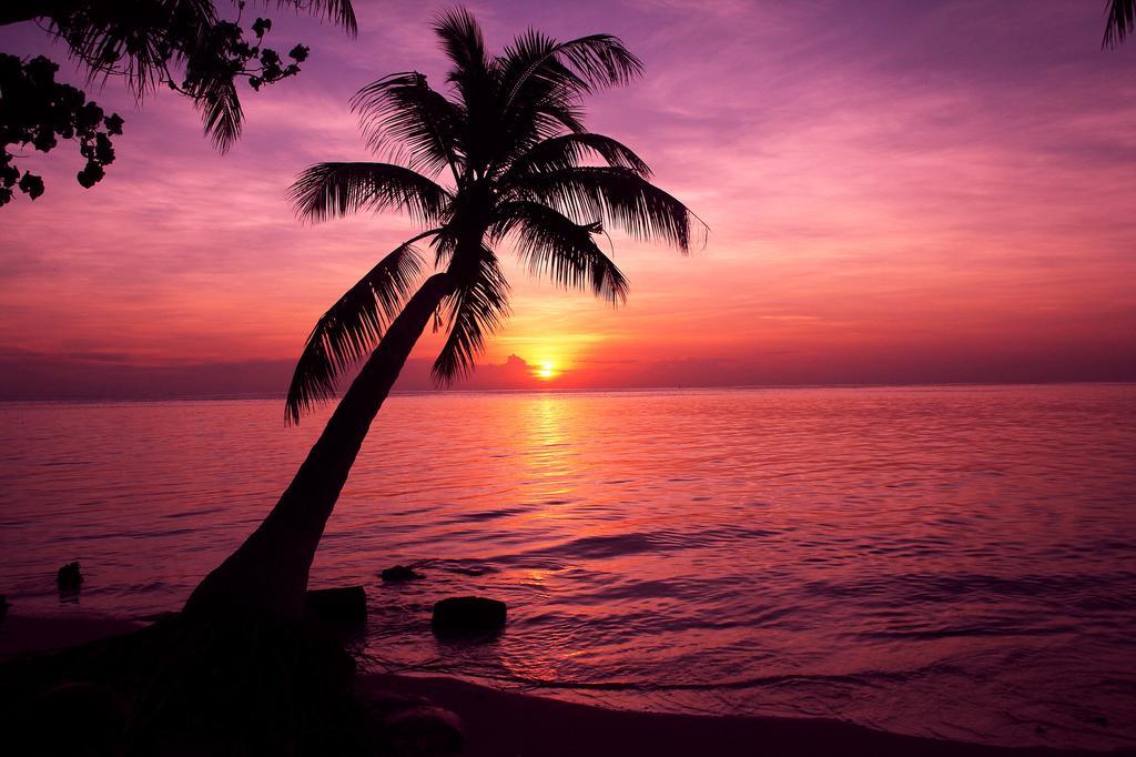 Отель Tropic Tree Maldives Гали Экстерьер фото