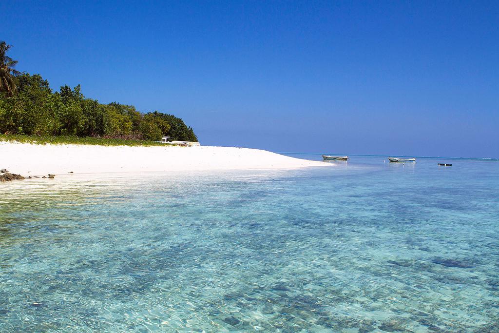 Отель Tropic Tree Maldives Гали Экстерьер фото