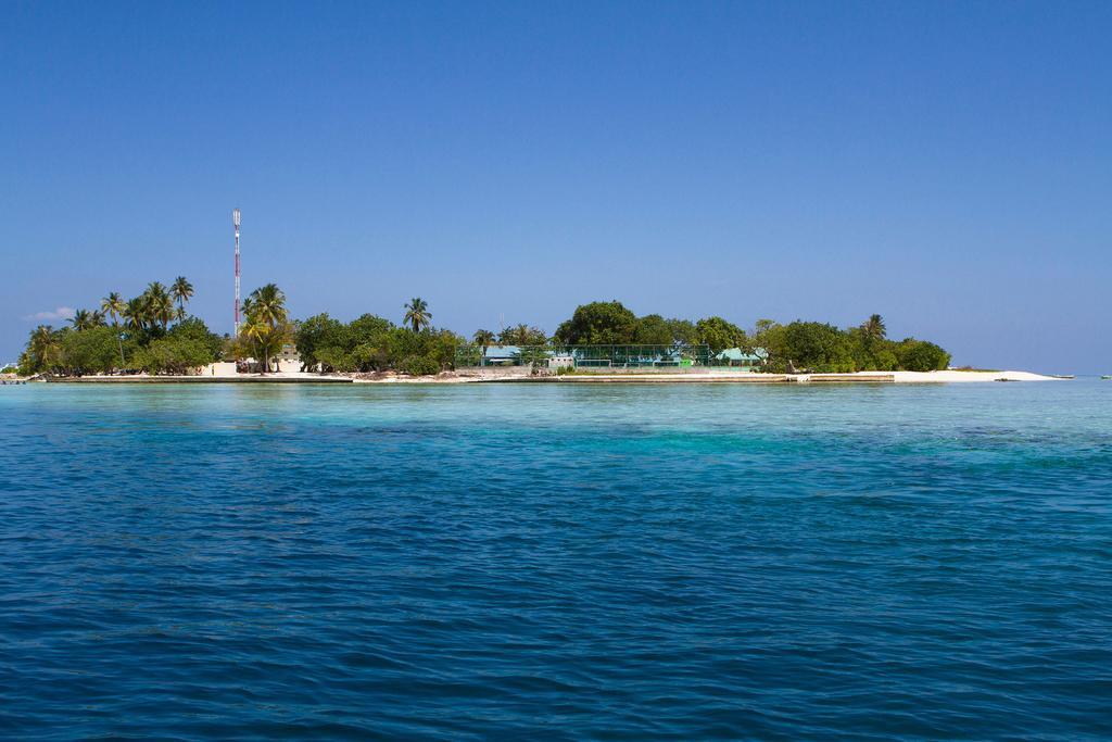 Отель Tropic Tree Maldives Гали Экстерьер фото